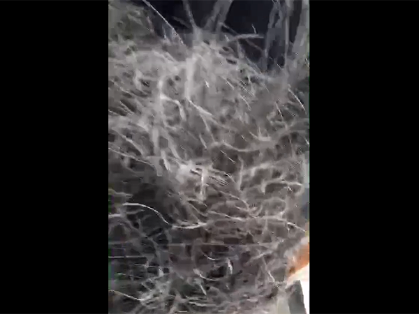 废轮胎炼油设备